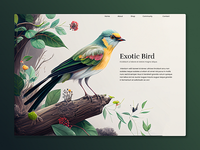 Exotic Bird 2023 amazing animal awesome bird branding design dev graphic design idea nature organic plane ui ui ux ux web web design web dev website
