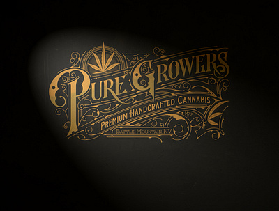 Pure Growers | Battle Mountain, Nevada biernat branding details lettering logo sketch typography vector