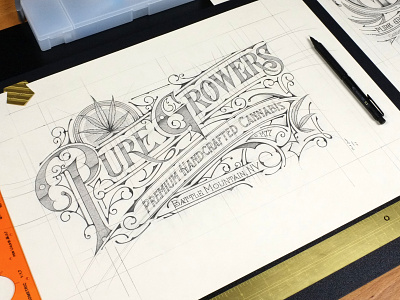 Sketch - Pure Growers | Battle Mountain, Nevada branding details handlettering logo pencil sketch szkic typografia typography usa