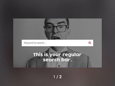 Search Bar Ads WooCommerce Plugin - 1