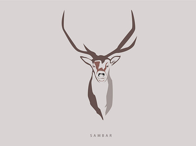 SAMBAR animation branding design graphic design illustration logo vector