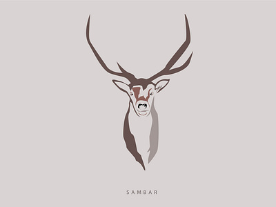 SAMBAR animation branding design graphic design illustration logo vector
