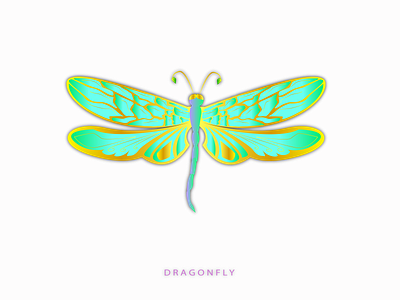 DRAGONFLY! design graphic design illustration ui vector