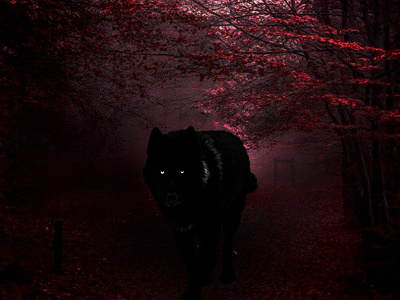 black wolf design