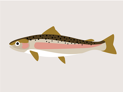 Trout Illustration art design digital fish illustration pastramka spotted seatrout trout
