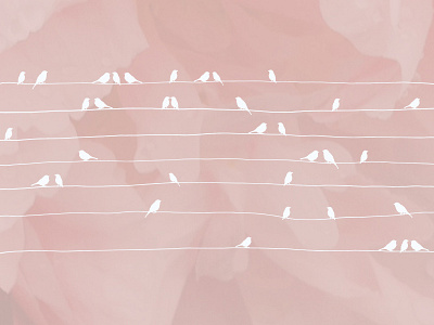 Birds birds branding flower illustration pink