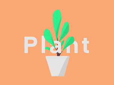 Plant