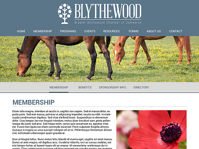 Blythewood business chamber of commerce south carolina website