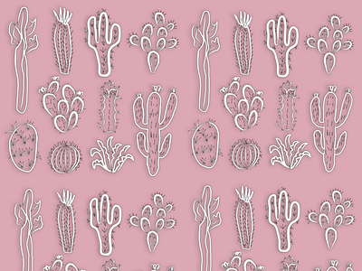 Baby Cactus 🌵 graphic design illustration
