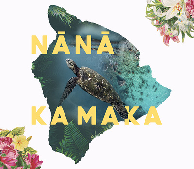 Nana Ka Maka aloha beauty big island flowers hawaii hawaiin island life islanders kapu local nana ka maka preserve respect sea turtle
