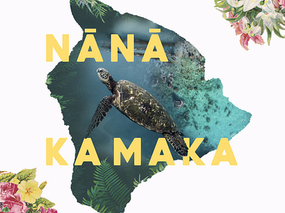 Nana Ka Maka aloha beauty big island flowers hawaii hawaiin island life islanders kapu local nana ka maka preserve respect sea turtle