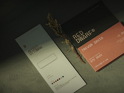 R+D Business Cards art direction brand identity branding business card concept design editorial graphic design illustration