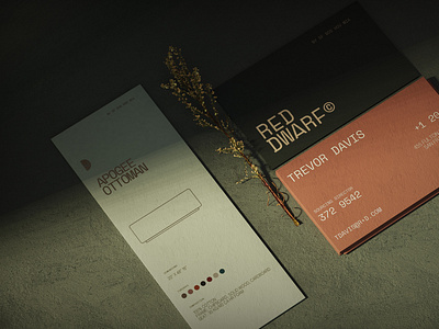 R+D Business Cards