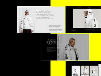 apex - Arctic Survival art direction brand identity branding concept design ecommerce graphic design identity illustration interface design logo logo design navigation ui ux web web page