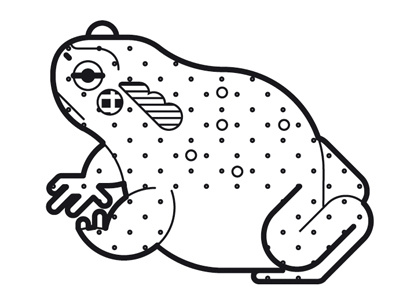 Toad - I.L. magazine animal frog geometric toad