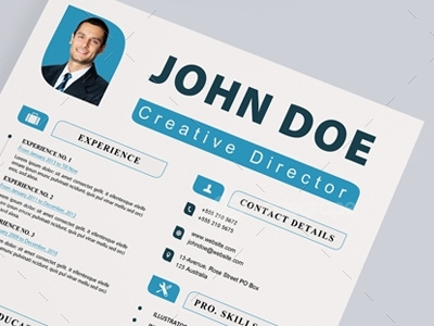 Resume By Amir Mamdoh On Dribbble