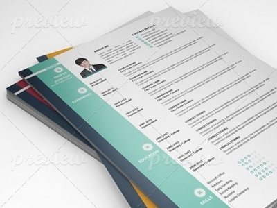 The Pro-Resume + Cover Letter career clean creative cv cv design job minimal print ready pro profile resume simple