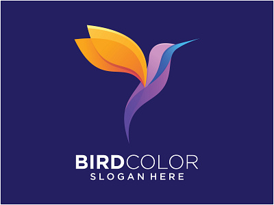 bird colorfull logo template animation branding design graphic design icon illustration logo vector
