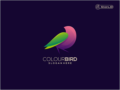 colour bird logo animation branding design graphic design icon illustration logo vector