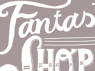 Fantastic Shoppe Fronts fronts handlettering historic photography project shops