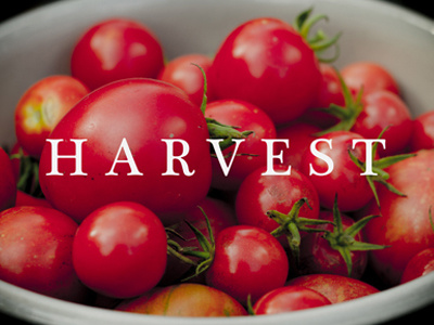 Harvest dribbble