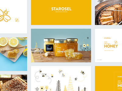 Starosel Honey Brand Book bee branding design honey illustration logo ray doyle web