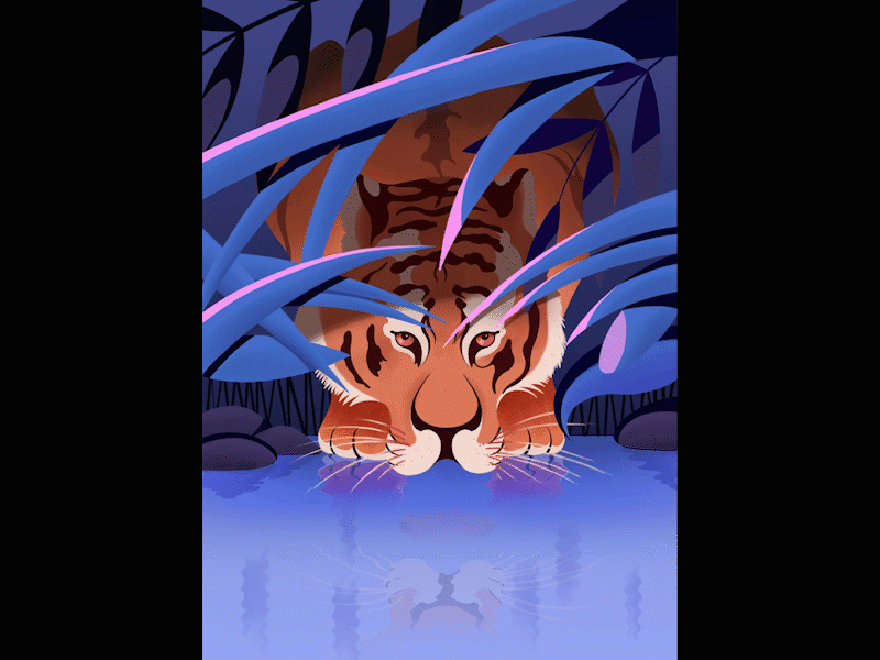 Hidden Tiger adobe aftereffects adobe photoshop after effects animation design editorial illustration illustration procreate procreateapp tiger vector