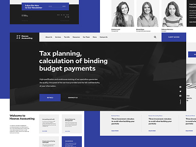 Hasnas Accounting - Website
