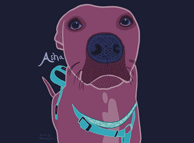Colorful Pet Portraits - Asha colorful dog illustration pet portrait portrait procreate stylized vector whimsical