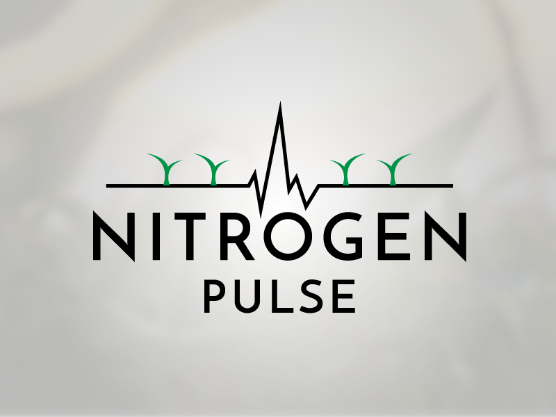 Nitrogen Pulse Logo soybeans corn fertility nitrogen farming agriculture branding logo