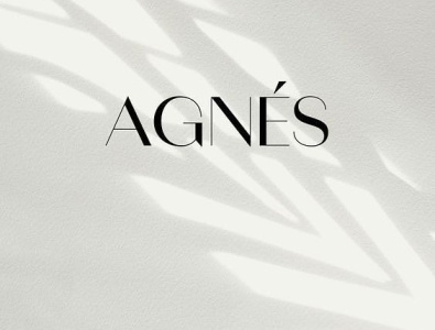 logo AGNES animation branding graphic design logo