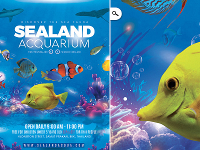 Aquarium Sea Land Flyer