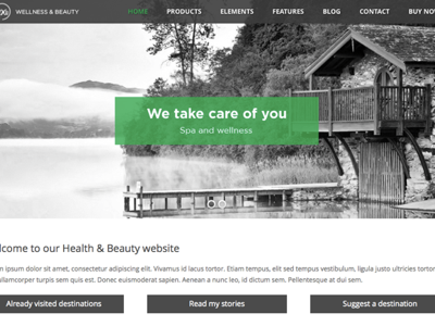 SPA health & beauty WordPress theme blog business design page builder responsive template theme webdesign website wordpress