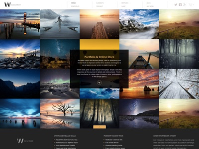 Widescreen - UNIQUE PORTFOLIO & ONLINE STORE by AitThemes on Dribbble