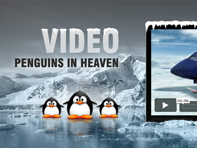 WP Running Penguins! aitthemes slider sport template theme unique video website wordpress
