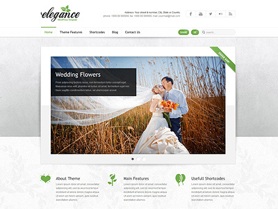 Ready to get married with our WP Theme?
