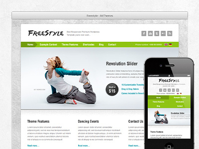 Freestyle :) aitthemes teacher template theme themeforest webdesign wordpress wp