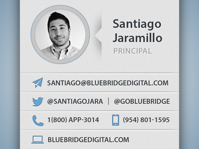 Blue Bridge Digital Cards apps blue business cards contact