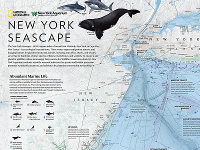 New York Seascape cartography design maps national geographic