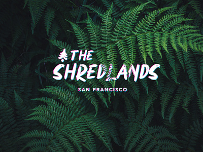 Shreddy Set Go branding design typography