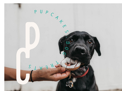 pupcakes branding design graphic design illustration logo typography vector
