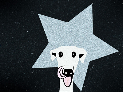 I HAVE A STAR design dog greyhound illustration photoshop star