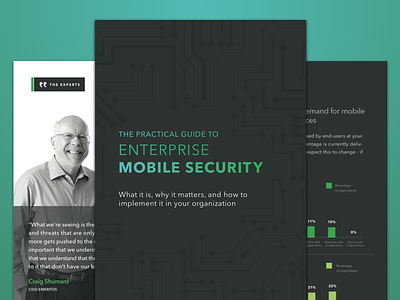 EBook: The Practical Guide to Enterprise Mobile Security book ebook indesign layout mobile publication security