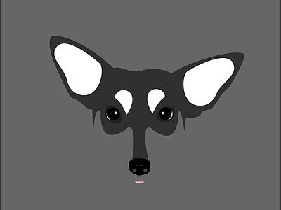 Bandit: A fine mix of husky & terrier. dogs illustration illustrator minimalism pets poster