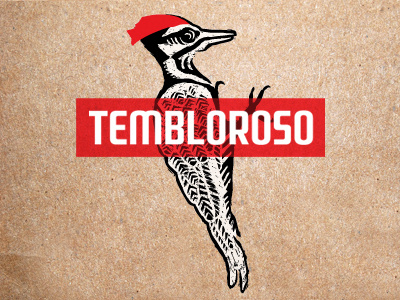 Tembloroso Logo art bird identity logo music scratchboard vector woodpecker