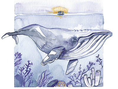 Whale animal baleine drawing illustration ocean watercolor whale