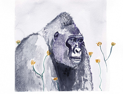 Gorilla animal gorilla gorille illustration watercolor