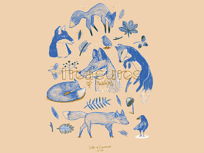 Treasures of Nature animal bird fox illustration nature