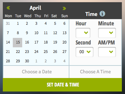 Date Picker calendar date picker