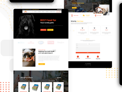 Agency Depth | Website Design